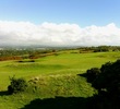 Southerndown Golf Club in Wales - gorse