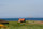 Historic Dunbar Golf Club - Scotland
