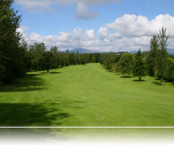 7th Fairway Enniscorthy Golf Club, Co. Wexford, Ireland
