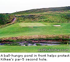 The stealth pond on Kilkee's