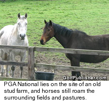 Ireland - PGA National