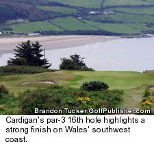 Cardigan Golf Club - 16th Hole