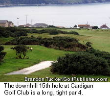 Cardigan Golf Club - Par-4